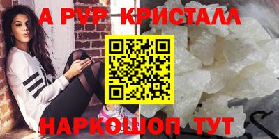 СК Новозыбков