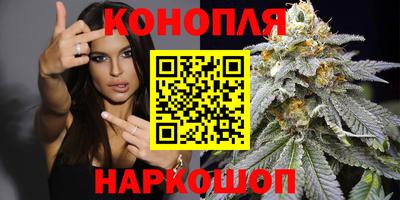 СК Новозыбков