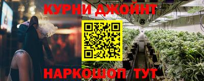 сатива Новокубанск
