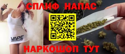СК Новозыбков