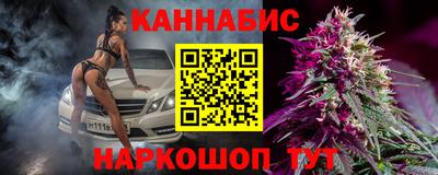 сатива Новокубанск