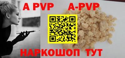 СК Новозыбков