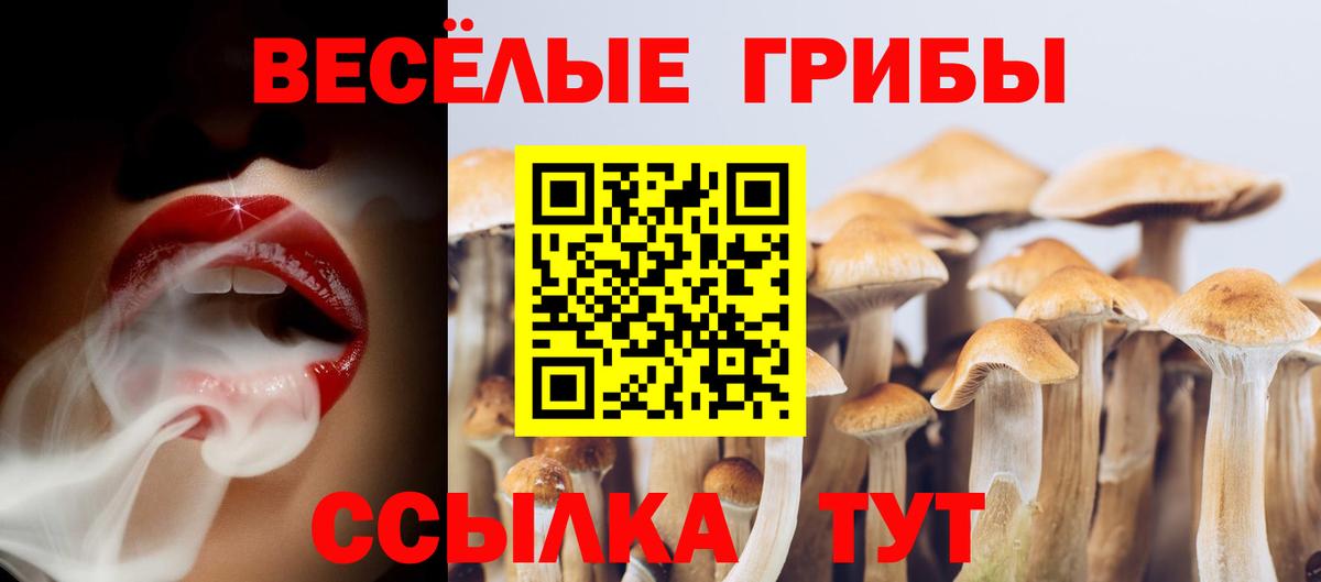 Галлюциногенные грибы ЛСД Феодосия